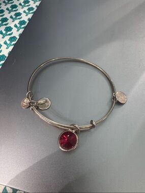 Alex and Ani Silver-Tone Bracelet with Red Crystal Charm